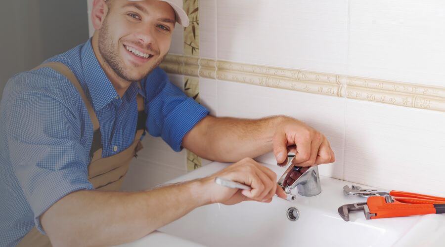 Professional Leak Detection Services services in Hector, MN